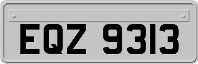 EQZ9313