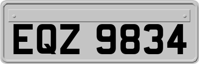 EQZ9834
