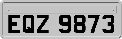 EQZ9873