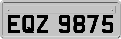 EQZ9875