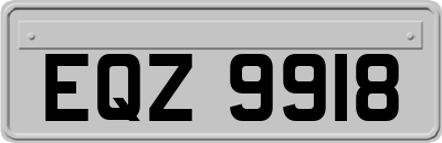 EQZ9918