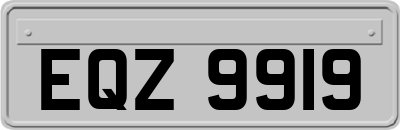 EQZ9919