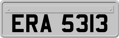 ERA5313