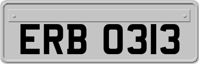 ERB0313