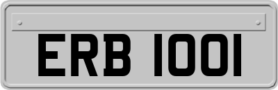 ERB1001