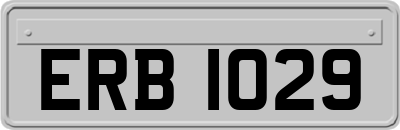 ERB1029