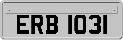 ERB1031