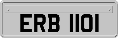 ERB1101