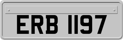 ERB1197