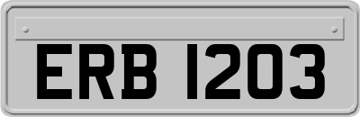 ERB1203