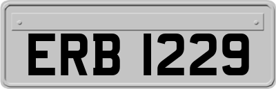 ERB1229