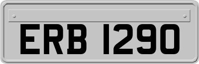 ERB1290