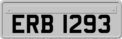 ERB1293
