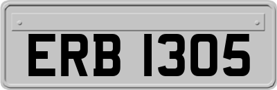 ERB1305