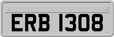 ERB1308