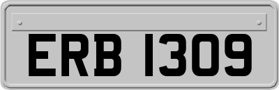 ERB1309