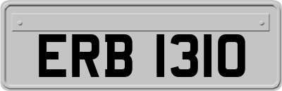 ERB1310