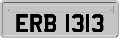 ERB1313