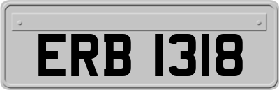 ERB1318