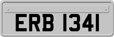 ERB1341