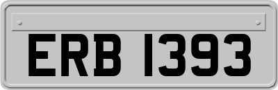 ERB1393