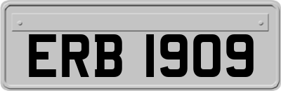 ERB1909