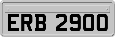 ERB2900