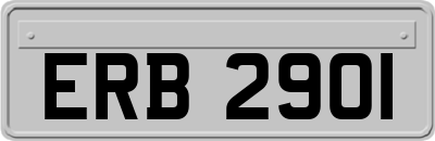 ERB2901