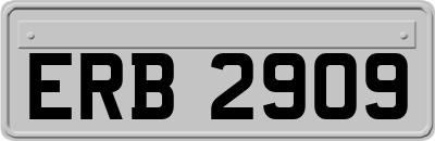 ERB2909