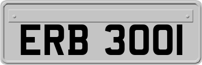 ERB3001