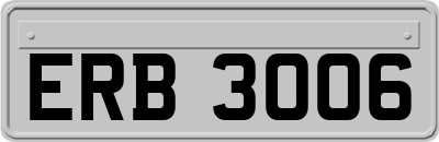 ERB3006