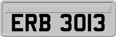ERB3013