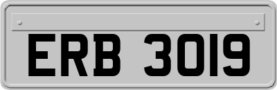 ERB3019