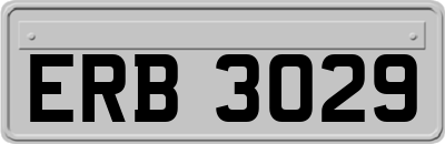 ERB3029