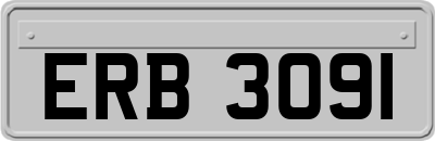 ERB3091