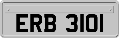 ERB3101