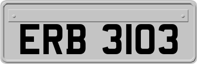 ERB3103