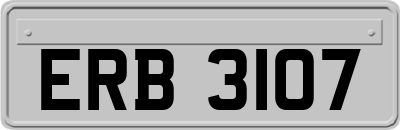 ERB3107