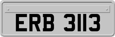 ERB3113