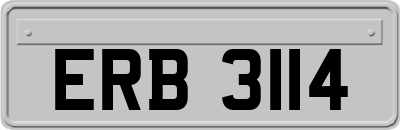 ERB3114
