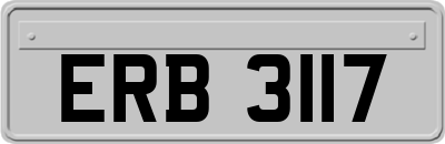 ERB3117
