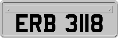 ERB3118