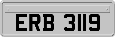 ERB3119