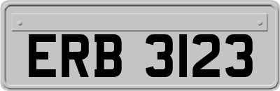 ERB3123