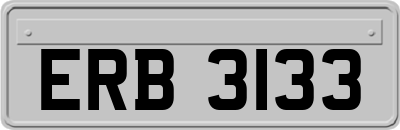 ERB3133