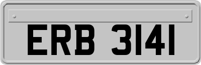 ERB3141