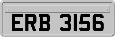 ERB3156