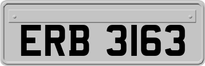 ERB3163