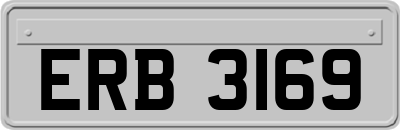 ERB3169