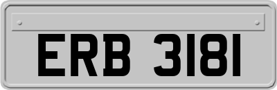 ERB3181